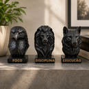 Trio Decorativo Motivação | Decoração Elegante Para Sala e Escritório