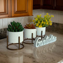 Kit 3 Vasos Design Ondas com Palavra Gratidão | Decoração Moderna