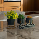 Kit 3 Vasos Design Ondas com Palavra Gratidão | Decoração Moderna